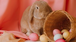 Sebenarnya Apa Makna Spiritual dari Tradisi Telur Paskah dan Kelinci Paskah?
