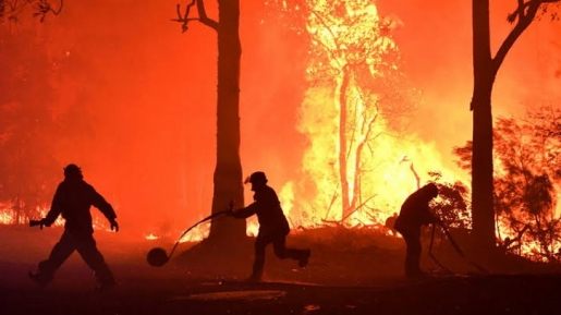 Makan Korban Jiwa dan Hanguskan Ratusan Rumah,Ternyata Ini Penyebab Kebakaran di Australia