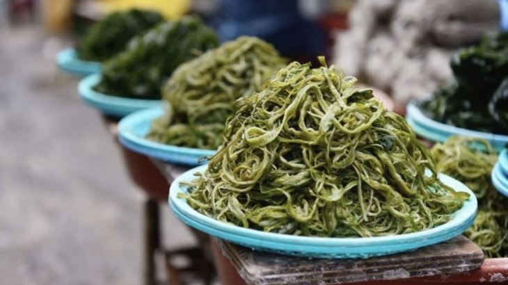 Makanan Terbaik di Masa Depan: Apakah Ganggang Adalah Nutrisi Berkelanjutan?