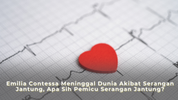 Emilia Contessa Meninggal Dunia Akibat Serangan Jantung, Apa Sih Pemicu Serangan Jantung?