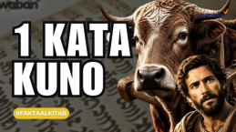 Kuk yang Dipasang di Leher, Tapi Justru Meringankan Beban