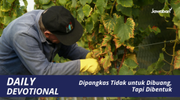 Dipangkas Tidak untuk Dibuang, Tapi Dibentuk