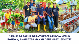 6 PAUD di Papua Barat Segera Punya Kebun Pangan, Anak Bisa Makan dari Hasil Sendiri