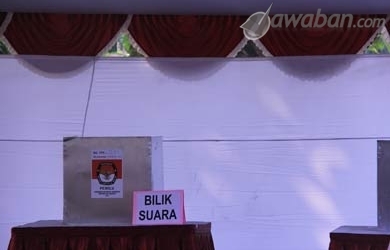 Pengamat Politik : Lebih Baik Caleg Foto Seksi Daripada Korupsi