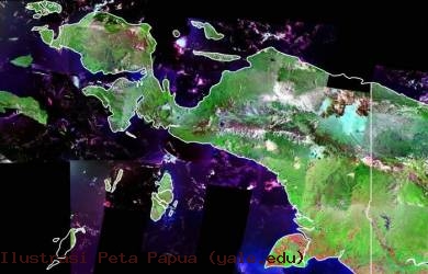 Tak Berpotensi Tsunami, Gempa Goyang Papua