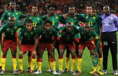 Piala Dunia 2014 : Profil Timnas Kamerun