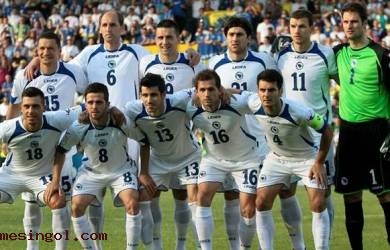 Piala Dunia 2014: Profil Timnas Bosnia-Herzegovina