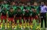 Piala Dunia 2014 : Profil Timnas Kamerun