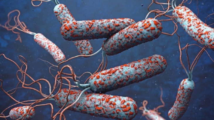 Wabah Kolera Meningkat di Afrika Selatan, 10 orang meninggal! Kenali Penyebab dan Gejalany