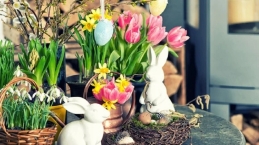 Paskah Dominan Telur? 4 Bunga Cantik yang Menjadi Pilihan Dekorasi Paskah Lebih Menarik