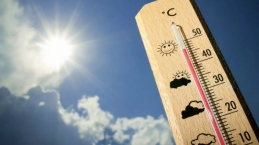 Suhu Panas Meningkat, Waspadai 9 Dampak Cuaca Panas Bagi Kesehatan Tubuh