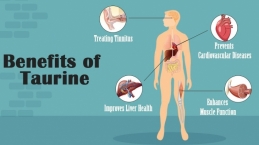 Tahukah Kamu Bahwa Taurine Baik Bagi Kesehatan Manusia? Simak 7 Manfaat Bagi Tubuh...