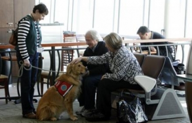 Terapi Anjing Bantu Para Penumpang di Bandara