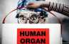 Penjualan Organ Tubuh Ilegal Marak di Facebook