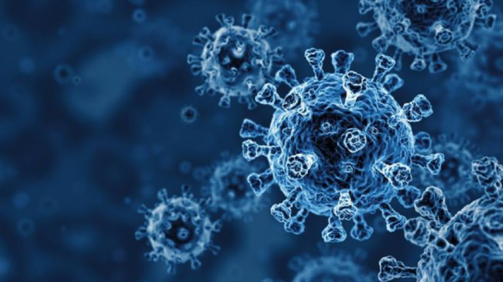 Selain Virus Covid19, Virus Human Metapneumovirus juga Menyerang Pernapasan!