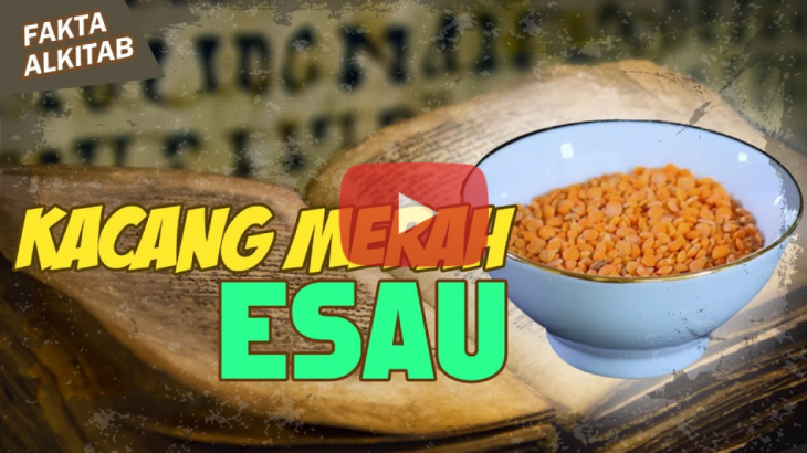 Fakta Alkitab : Ini Dia Kacang Merah Yang Bikin Esau Sampai Rela Jual Hak Kesulungannya