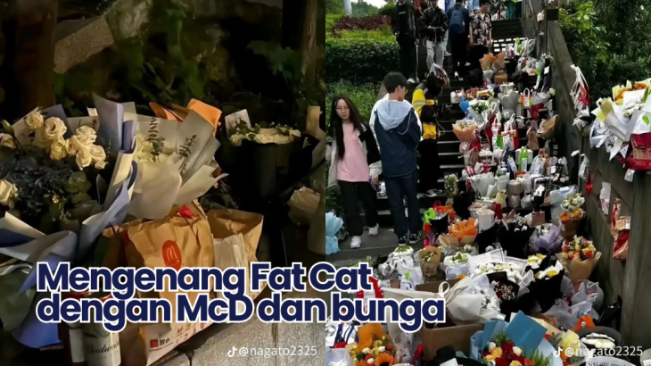 Kronologi Kisa Fat Cat, Gamer China Bunuh Diri Usai Putus Cinta