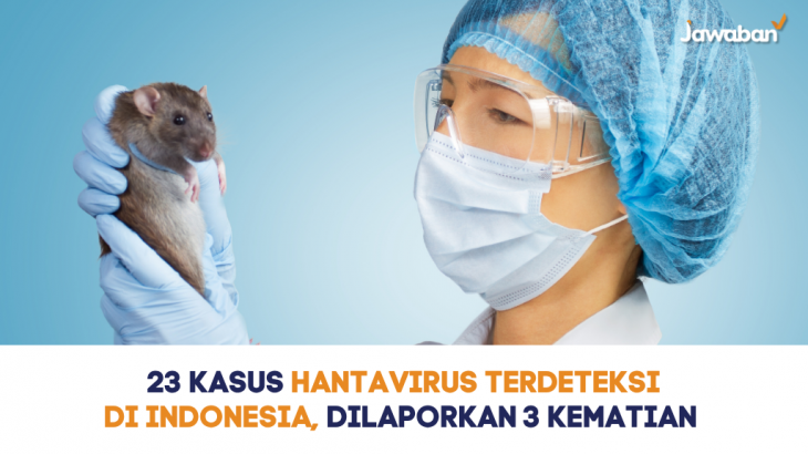 23 Kasus Hantavirus Terdeteksi di Indonesia, Dilaporkan 3 Kematian