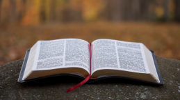 Ayat-ayat Alkitab Paling Populer di Jawaban.com yang Menguatkan, Sudah Baca Belum?