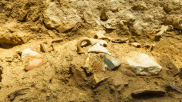 Arkeolog Israel Temukan Bukti Gempa yang Ditulis Dalam Kitab Amos dan Zakharia
