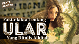 #FaktaAlkitab: Mengapa Ular Sering Dikaitkan dengan Kejahatan di Alkitab?