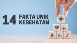 Wajib Tahu! 14 Fakta Unik Tentang Kesehatan yang Belum Banyak Diketahui Orang