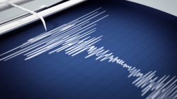 Papua, Jayapura Diguncang Gempa M 5,4. Lihat Kondisinya Saat Ini