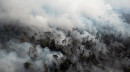 Kebakaran Akibat Fenomena El Nino, Bisakah Kita Mencegah Kebakaran?