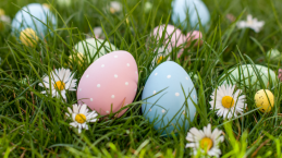 Apa Makna Telur Paskah?