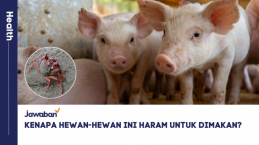 Kenapa Hewan-hewan Ini Haram untuk Dimakan?