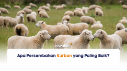 Apa Persembahan Kurban yang Paling Baik?