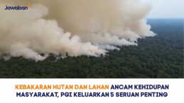 Kebakaran Hutan dan Lahan Ancam Kehidupan Masyarakat, PGI Keluarkan 5 Seruan Penting