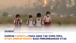 Dampak Karhutla pada Anak Tak Cuma ISPA, Studi Ungkap Risiko bagi Perkembangan Otak
