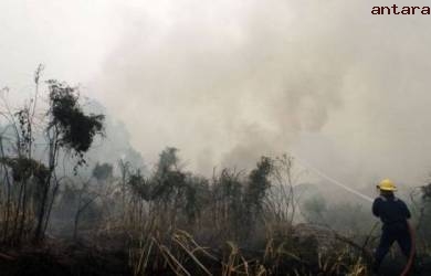 BNPB : Kebakaran Riau Rugikan Ratusan Triliun Rupiah