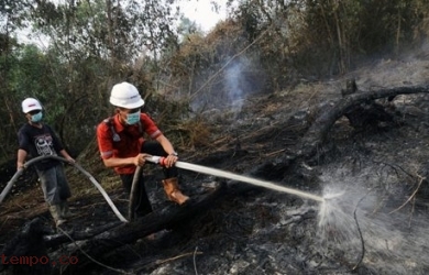 RAPP Kerahkan Personil Tanggulangi Kebakaran Hutan di Riau
