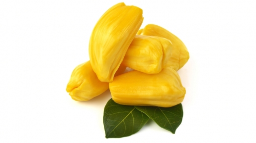 Nangka, Si Kuning yang Kaya Khasiat