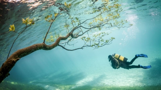 Green Lake, Taman Bawah Air Austria yang Tak Biasa