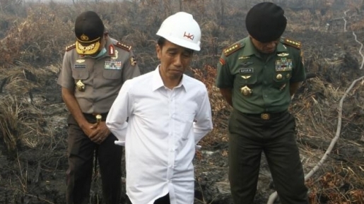 Presiden Jokowi Sikapi Dugaan Korupsi di Balik Kabut Asap