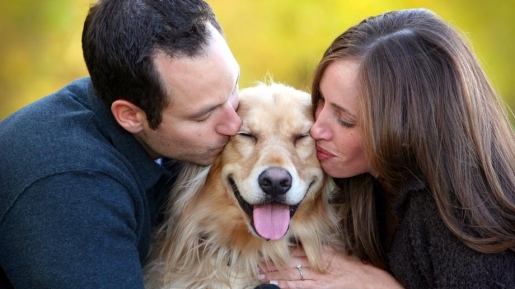 9 Pelajaran Penting dari Binatang Peliharaan Untuk Bahagiakan Pasangan