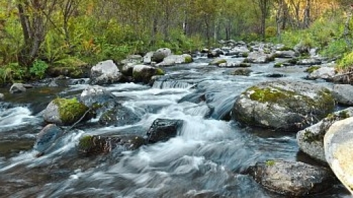 Sungai Kehidupan