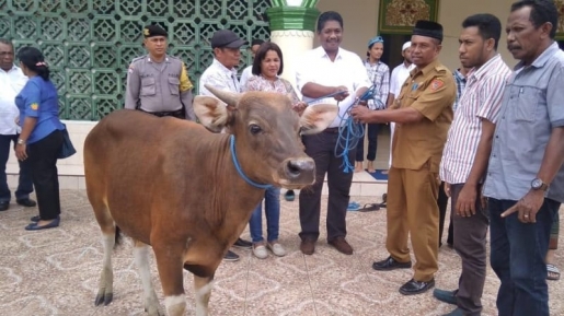 Umat Muslim Rayakan Idul Adha, Gereja Ambon Ini Ikut Sumbang Hewan Kurban, Salut!