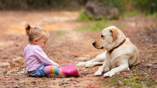 Percaya Gak Percaya, Terapi Anjing Ampuh Loh Bantu Anak Belajar Bicara!