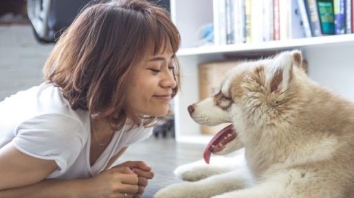 Bukan Cuma Jadi Sahabat, Anjing Juga Bisa Deteksi Kondisi Kesehatan Pada Manusia Loh!