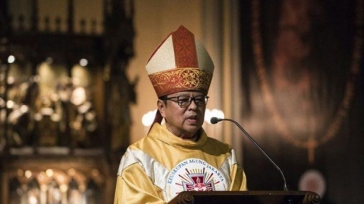 Fakta Soal Ignatius Suharyo, Kardinal yang Baru Diangkat Paus Fransiskus di Vatikan