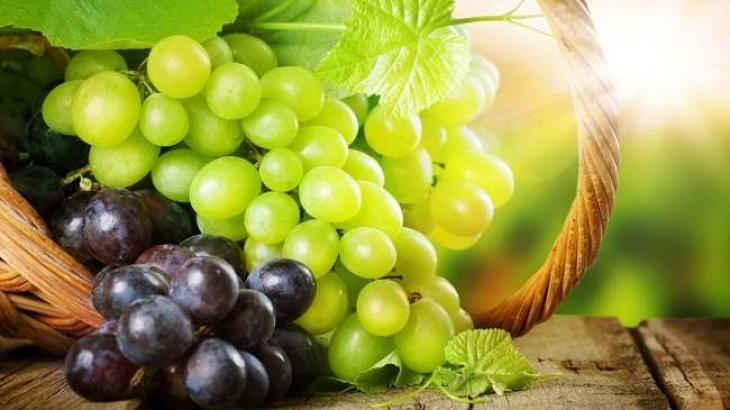 8 Fakta Kenapa Anggur Dianjurkan Untuk Dikonsumsi Dalam Alkitab