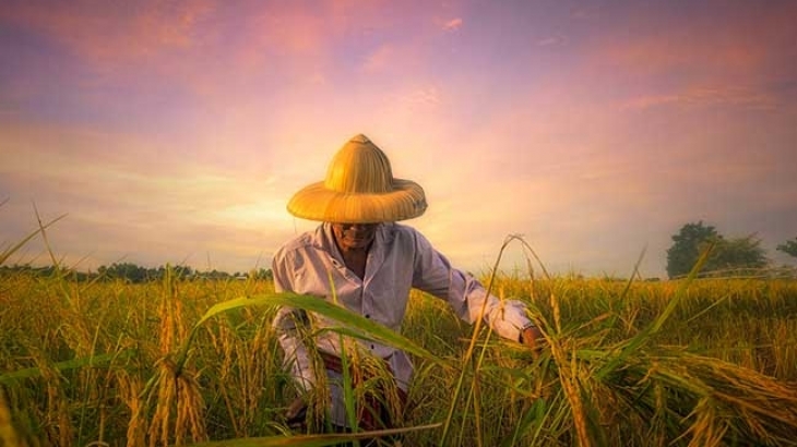 Pelajaran Penting Dari Petani Saat Hadapi Masa Sulit