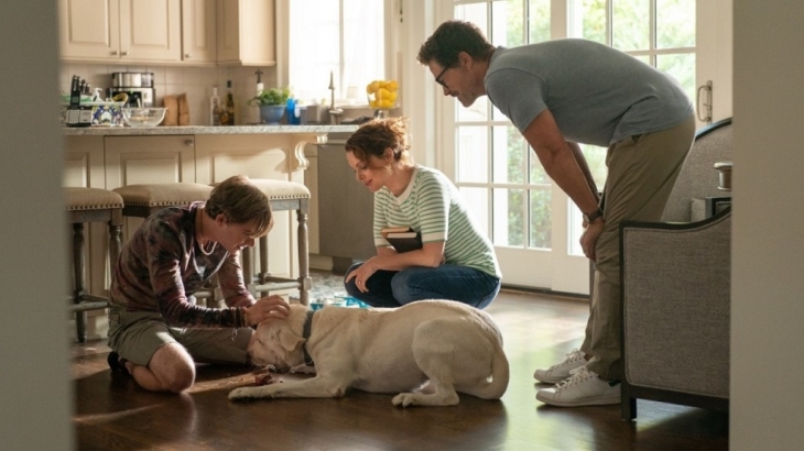 Dog Gone, Dari Film Kisah Nyata Hingga Petualangan Keluarga
