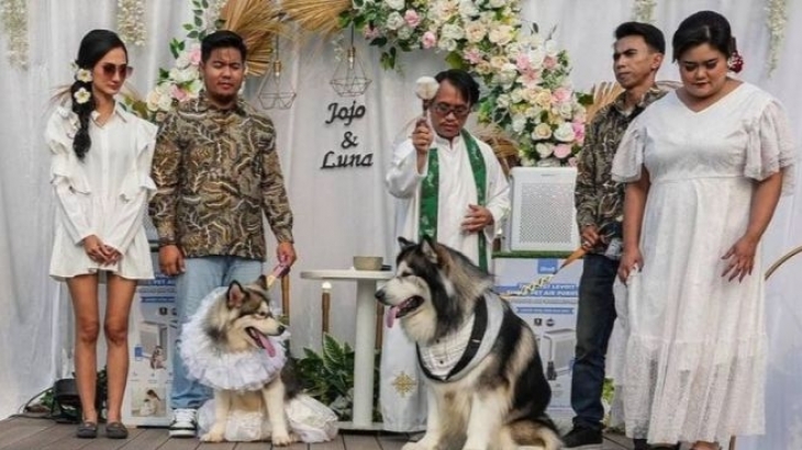 Pernikahan Mewah Pasangan Anjing di Jakarta Jadi Viral, Apa Pandangan Kristen Soal Ini?