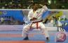 SEA Games 2015 Tidak Akan Ada Cabang Karate