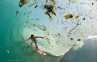 Fotografer Asing: Laut Indonesia Menjijikkan!
